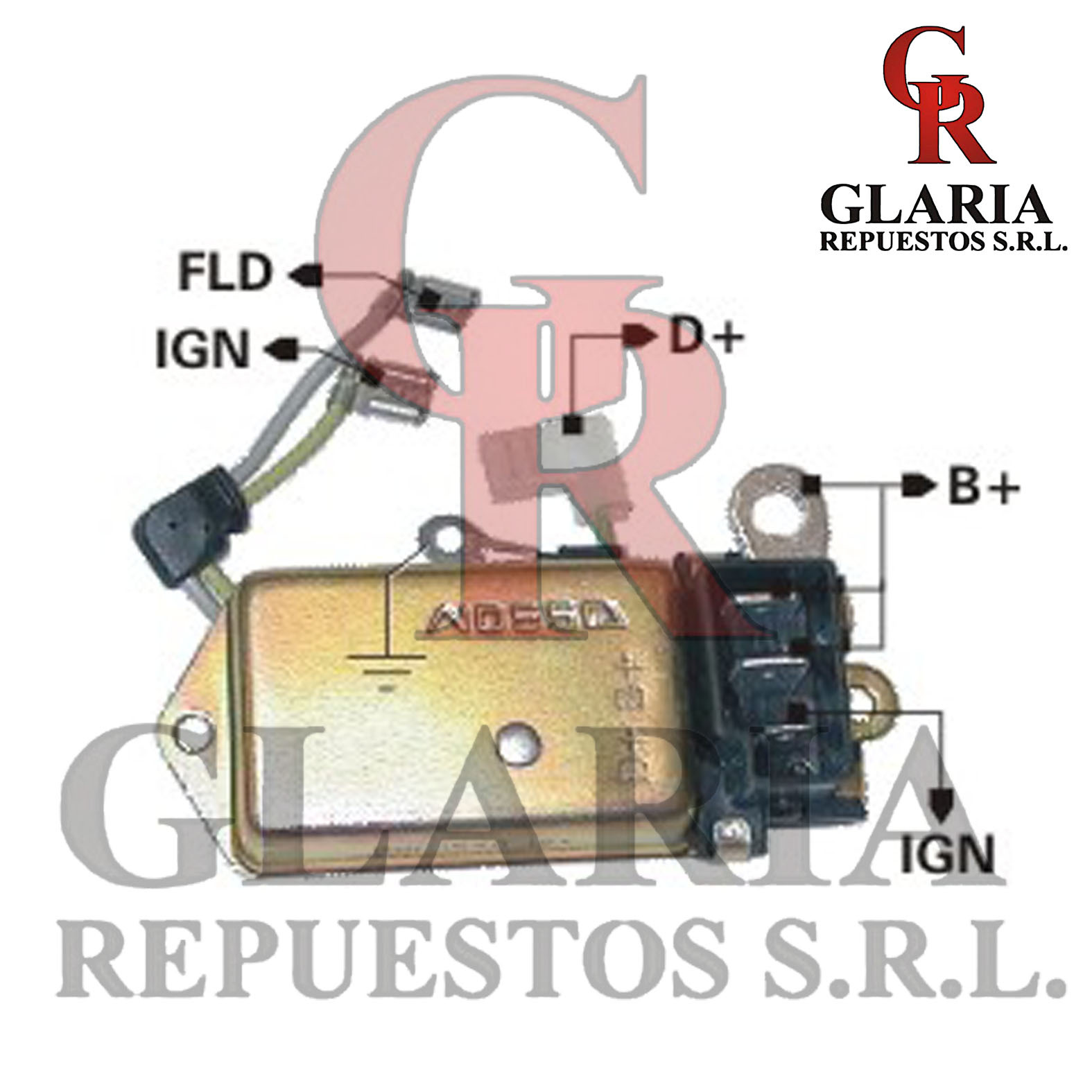 Product Images