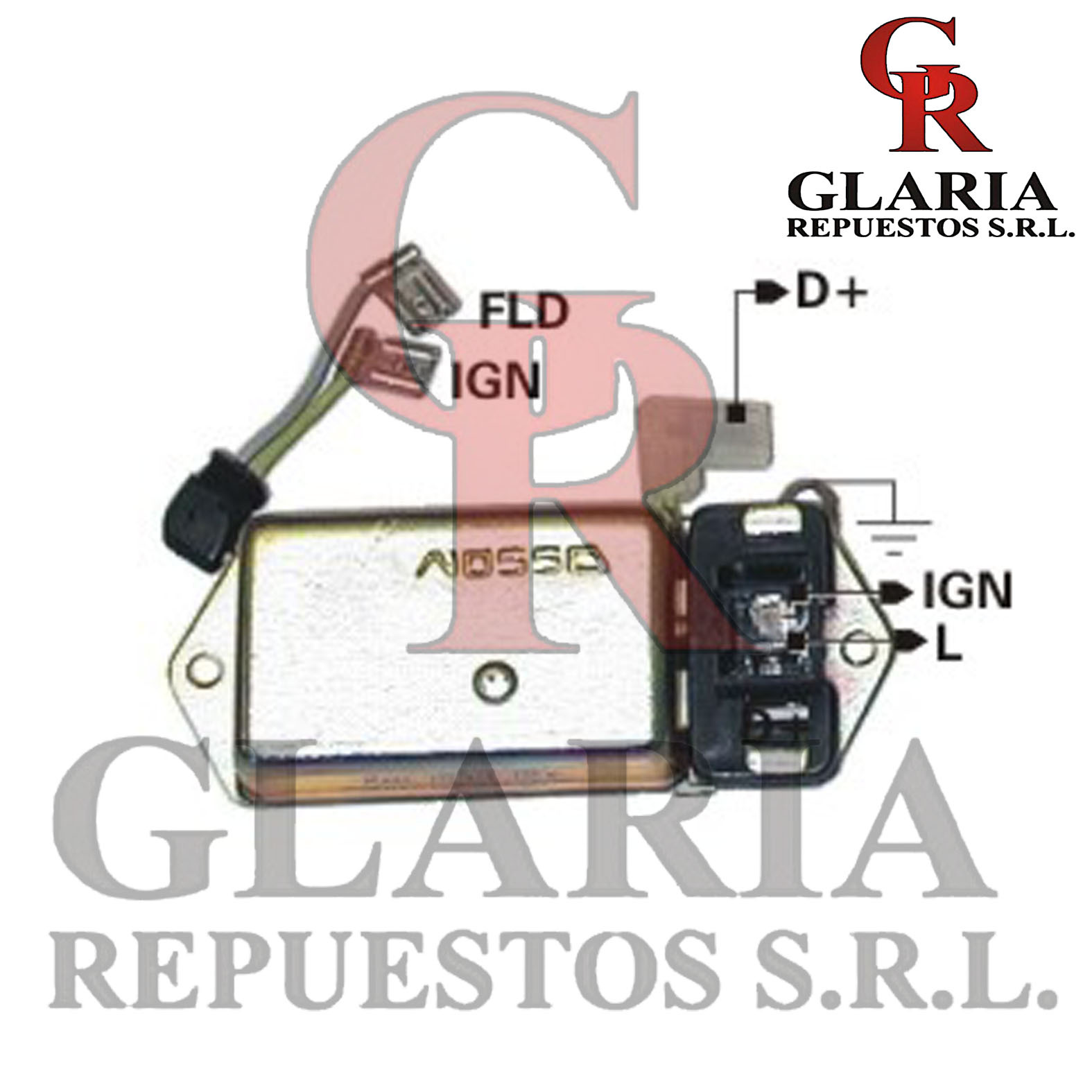 Product Images