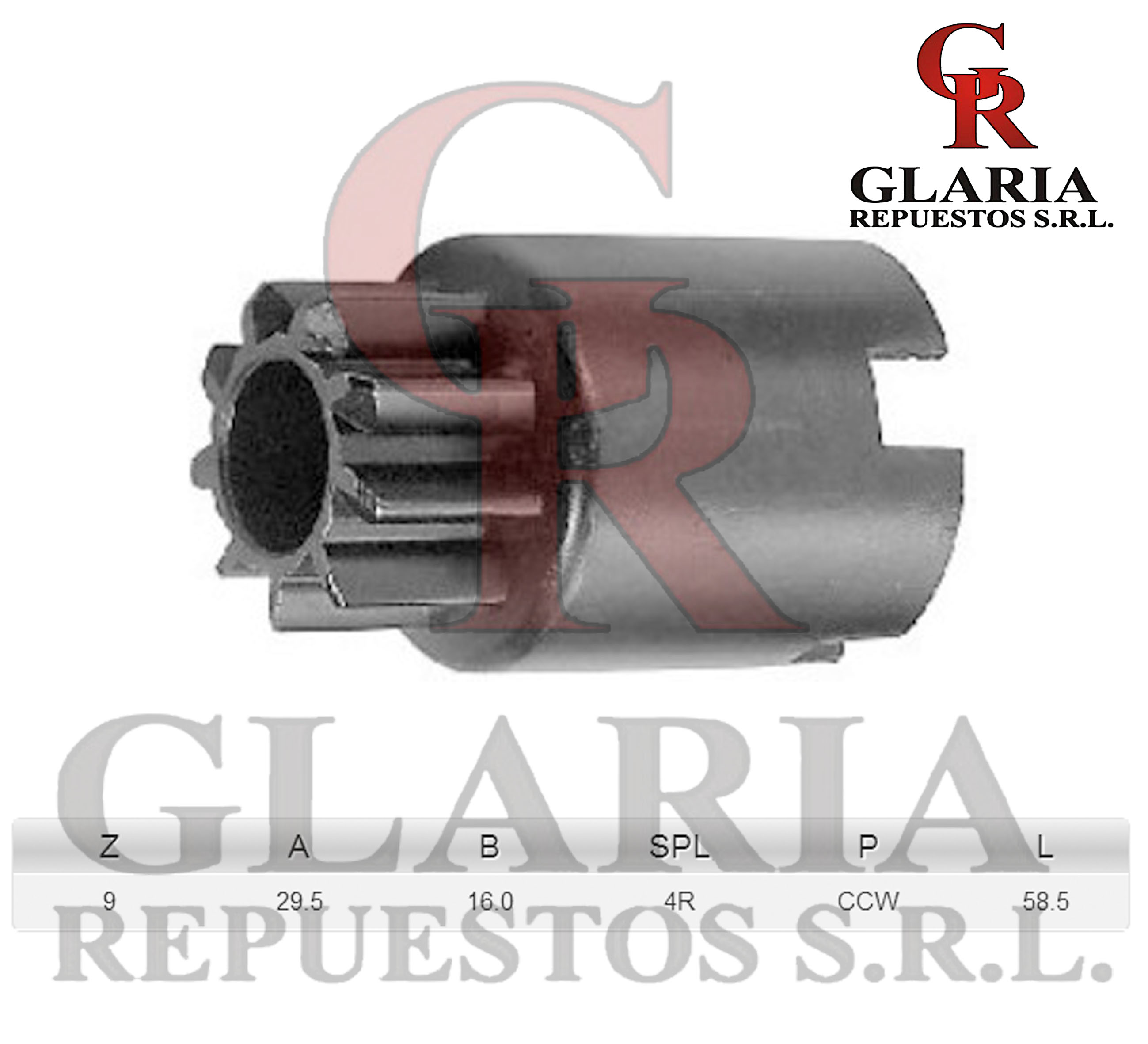 Product Images